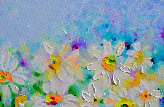 White Daisy Daisies Field