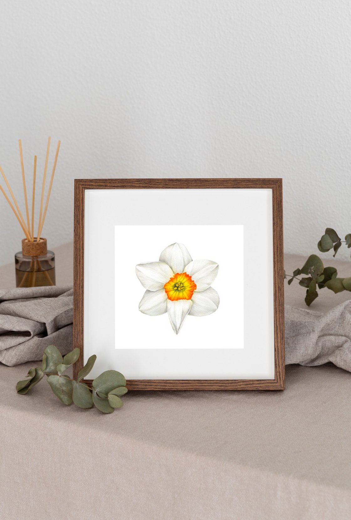 Daffodil, Narcissus available as Framed Prints, Photos, Wall Art and Photo  Gifts