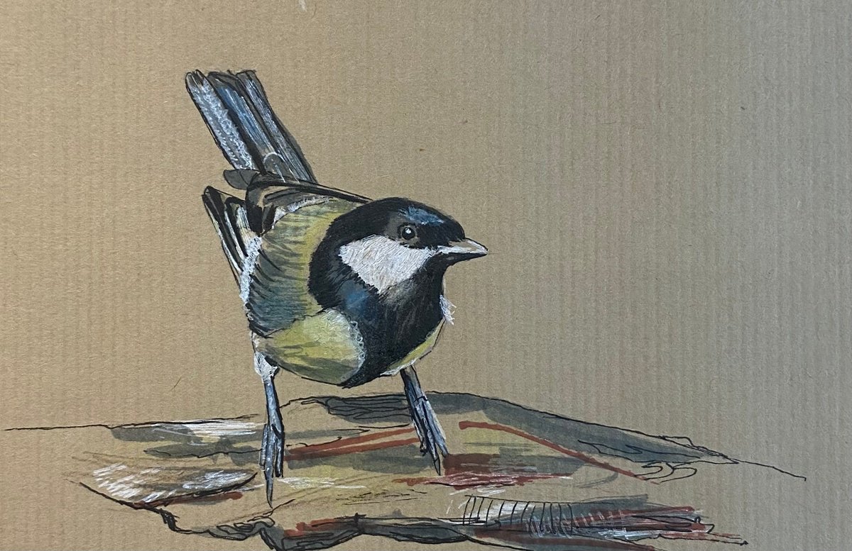 Great Tit by Sarah Stowe
