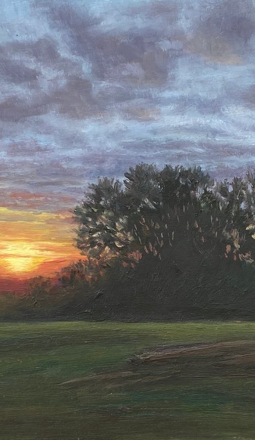 Sunset, View from Arrandene by Diana Sandetskaya