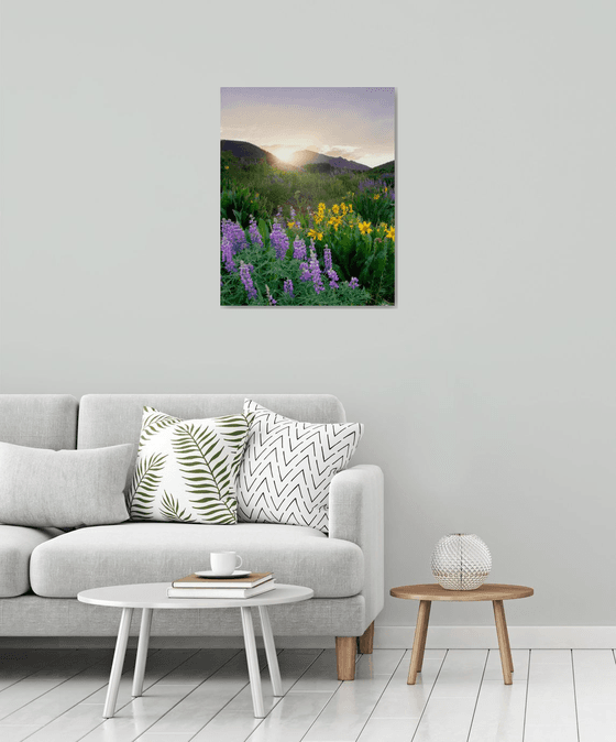 Wildflowers at Dusk