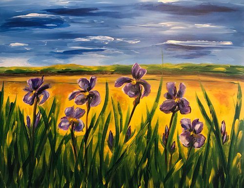 Field of Iris by Carolyn Shoemaker (Soma)