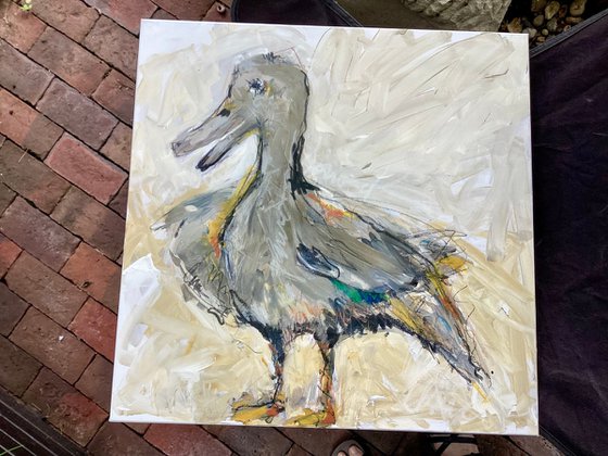 The Young Duck