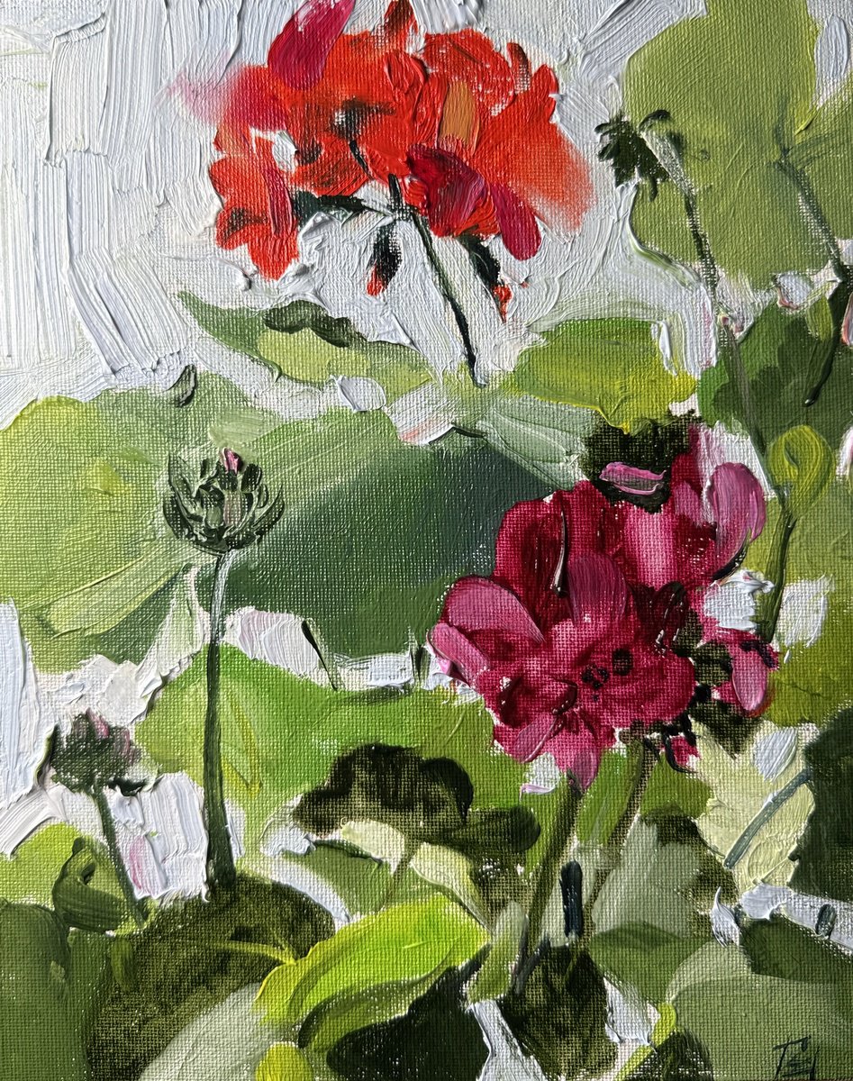 Geranium Mini By Olena Hromova, 8 X 10, Artwork For Sale On Artfinder