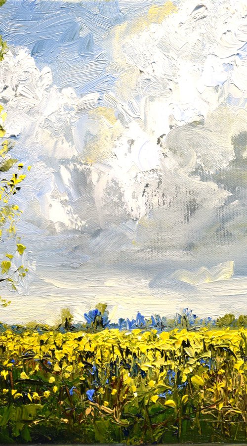 Dream field by Sonja Brussen