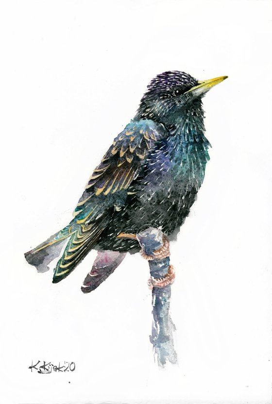 Starling, wildlife, birds watercolours