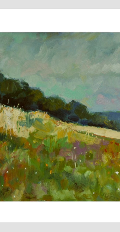 Wild Flowers at Bury Hill by Andre Pallat