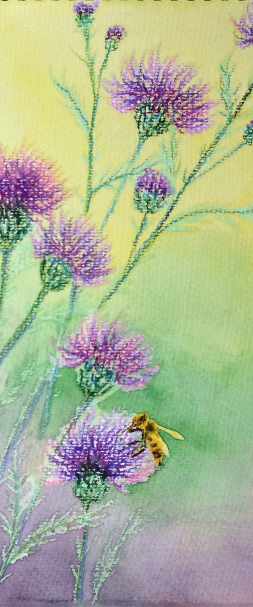 Bee&wild purple thistle by Jing Tian
