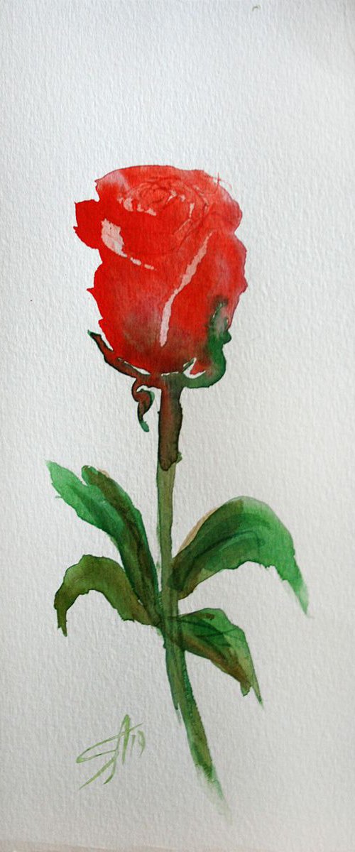 Rose 04  / Original Painting / emotion in the portrait of a flower / color harmony of watercolor / a gift for you by Salana Art