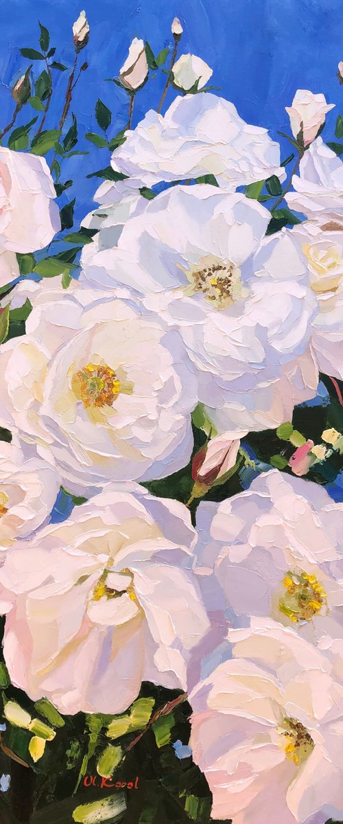 White roses by Ulyana Korol