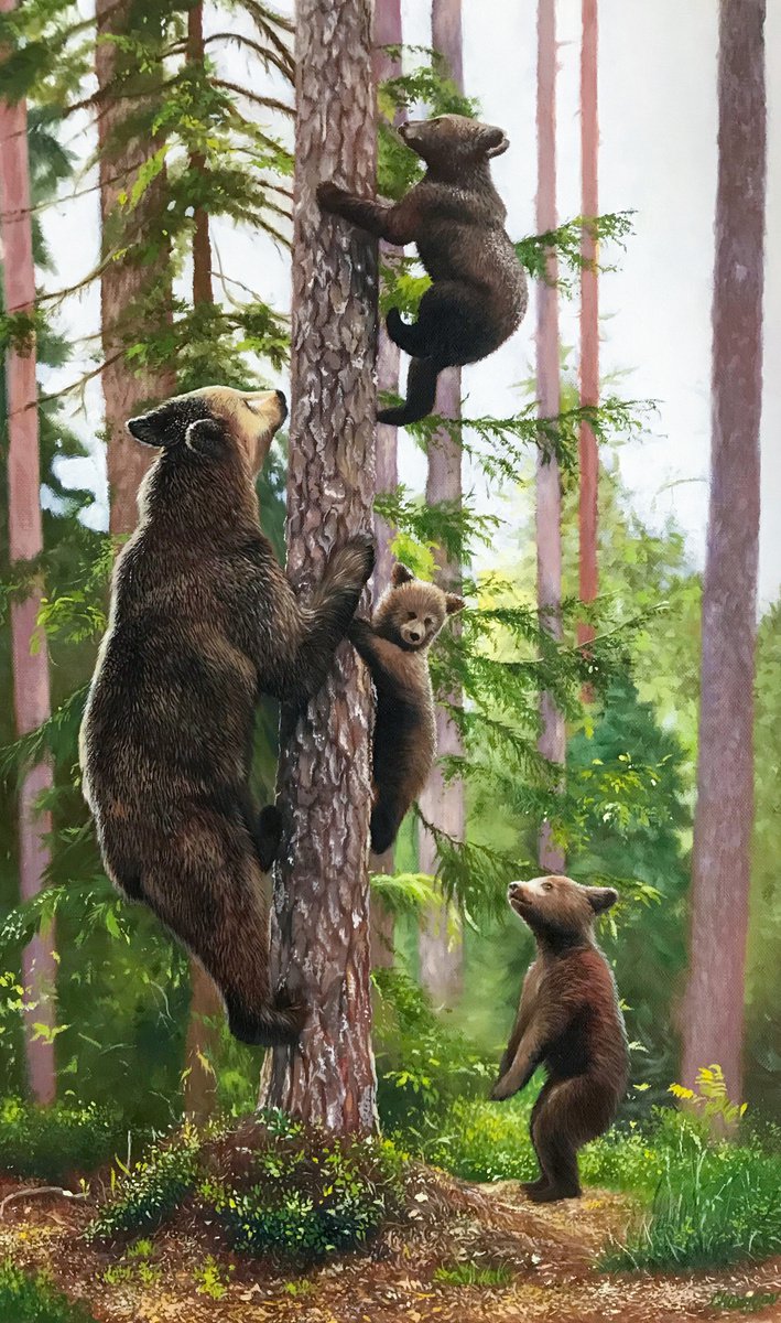 The bear-cubs are playing by Kakajan Charyyev