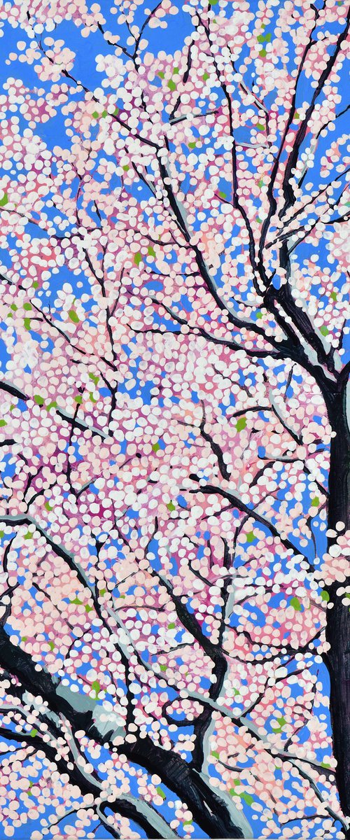 Cherry Blossom #7 by Alex Nizovsky