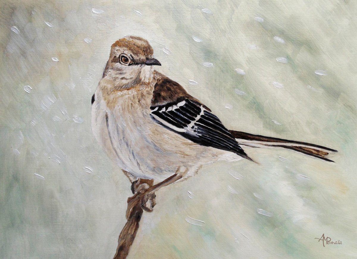 Impressionistic Animal Oil Painting By Angeles M. Pomata, 13 X 10, Snowfall Mockingbird, Original Artwork