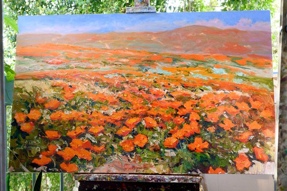 Antelope Valley, Golden Poppies