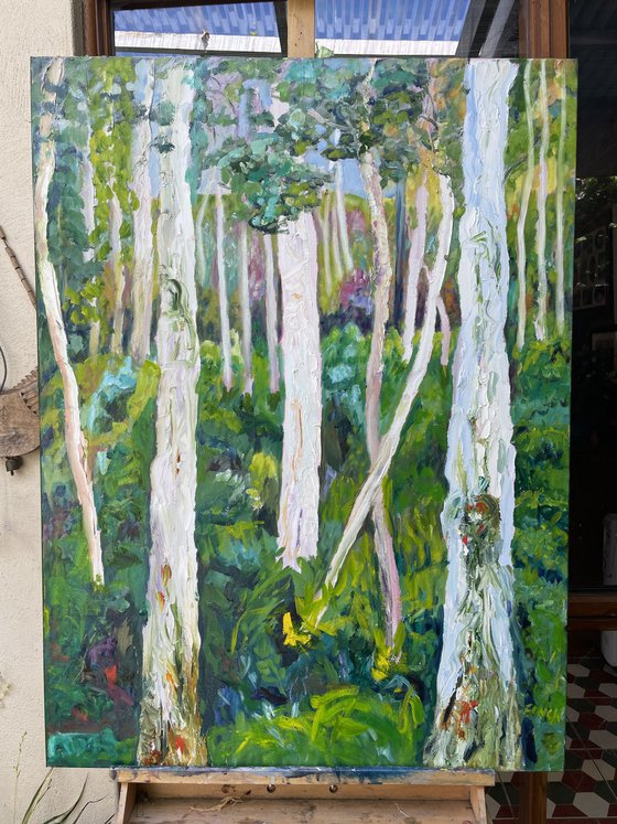 GHOST GUM FOREST 1