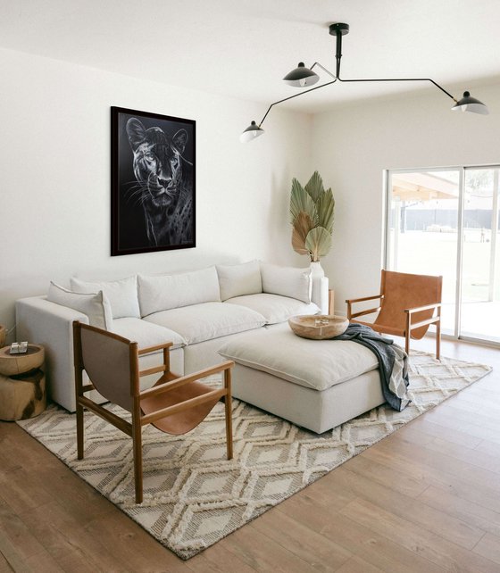 Phantom of the Jungle