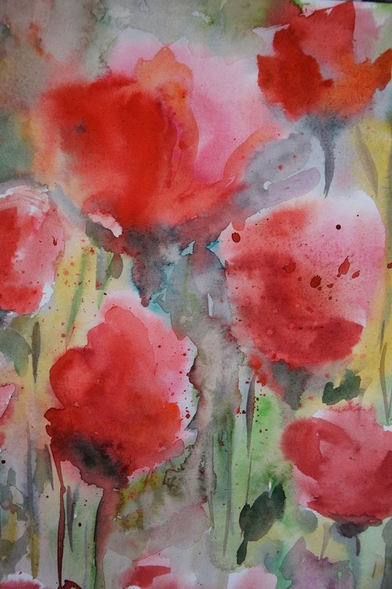 Original watercolor painting Flowers poppies