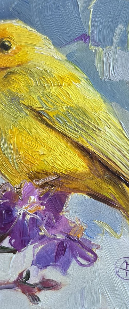 American Goldfinch by Nataly Derevyanko