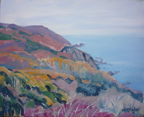 Exmoor cliffs in autumn 2