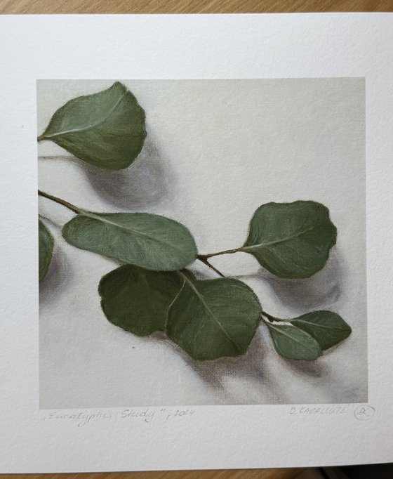 Eucalyptus Study