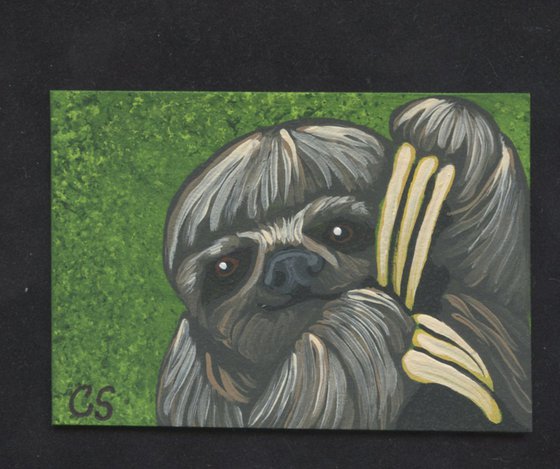 ACEO ATC Original Miniature Painting Sloth Wildlife Art-Carla Smale