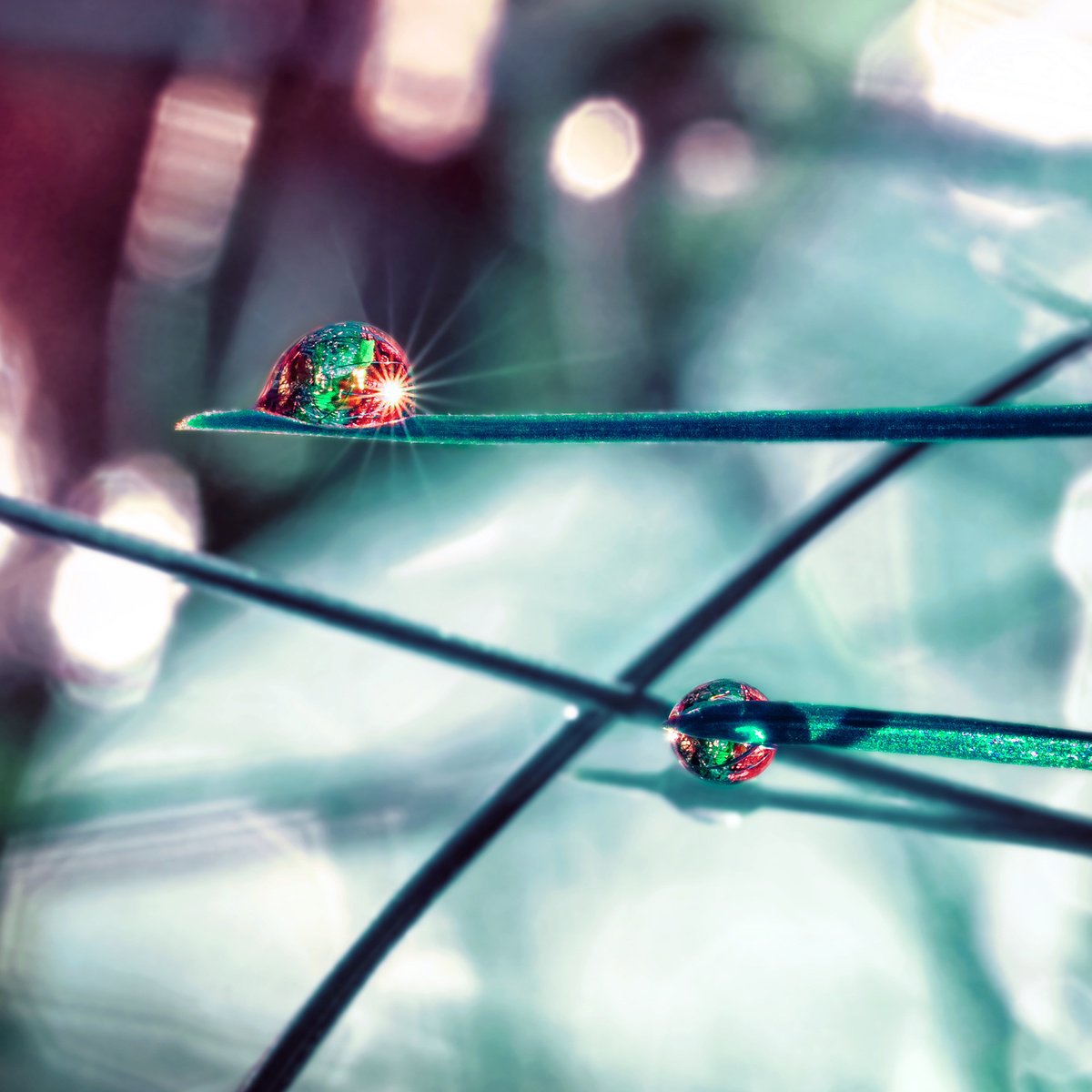 Organic Abstract Photograph By Inna Etuvgi, 12 X 12, Memories About Aurora Lights, Original Artwork