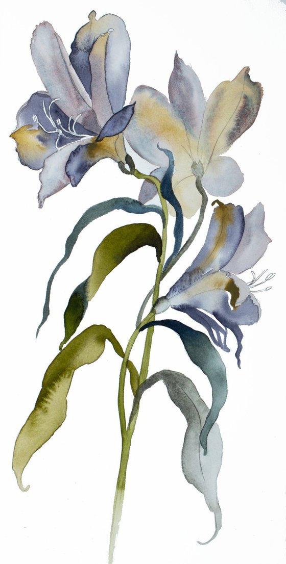 Lilies No. 14
