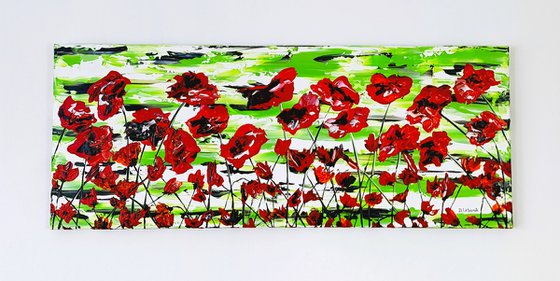 Red Poppies