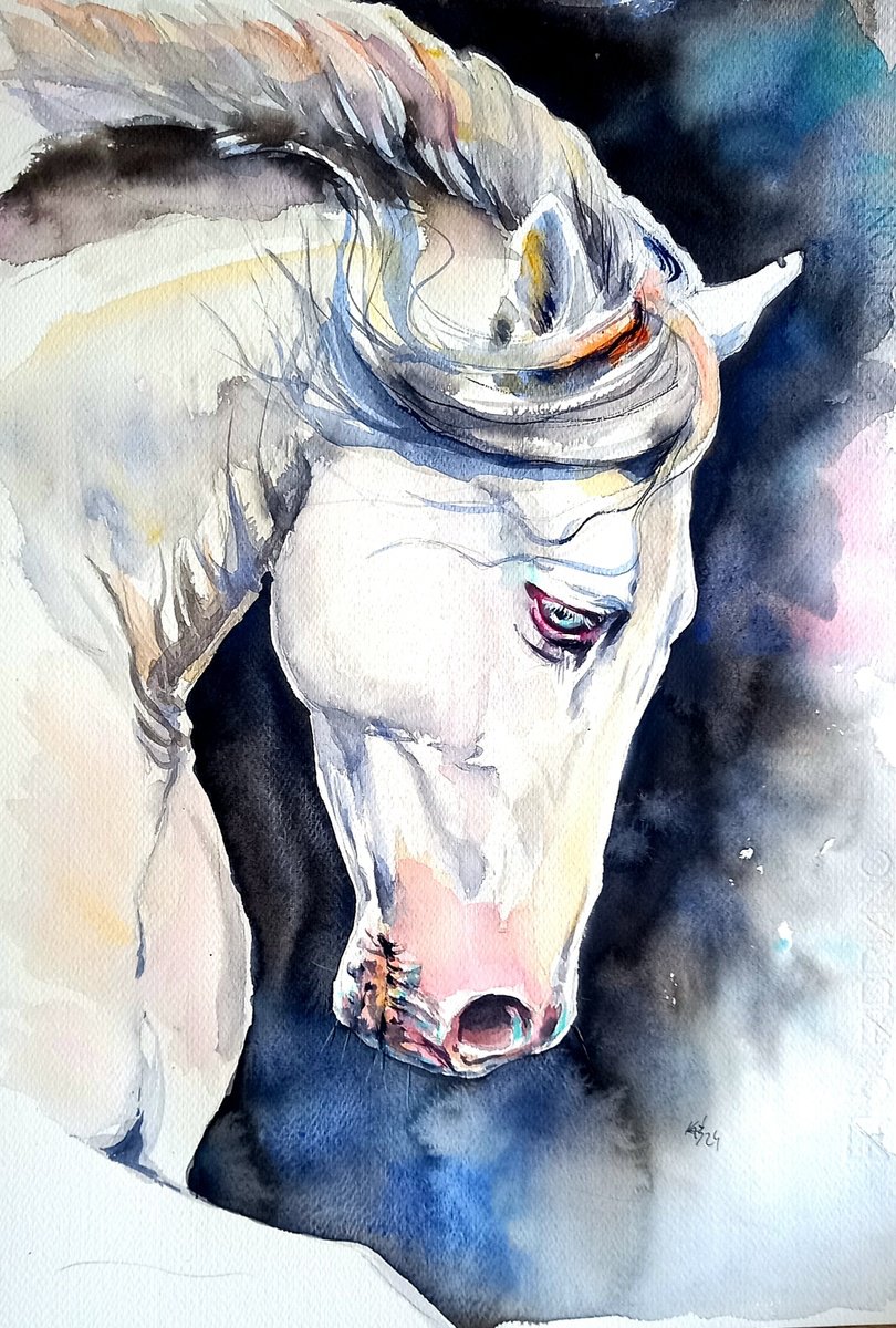 Impressionistic Watercolour , White Horse Ii By Kovacs Anna Brigitta, 14 X 20, Artwork For Sale On Artfinder