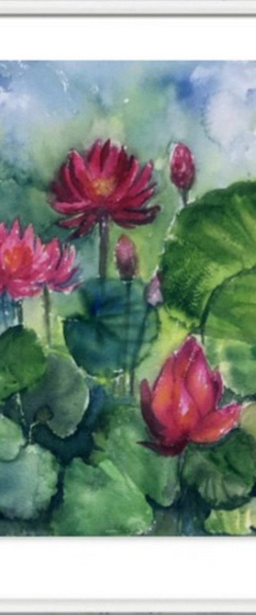 Monsoon Water Lilies in the garden 2 by Asha Shenoy