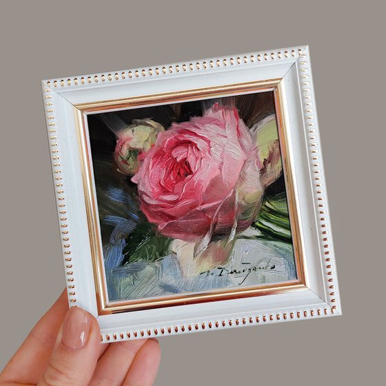 Pink rose