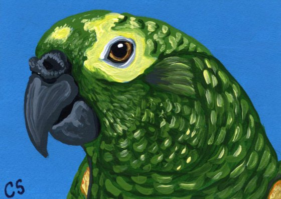 ACEO ATC Original Painting Amazon Parrot Bird Art-Carla Smale