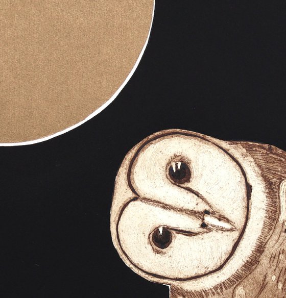 Midnight Owl