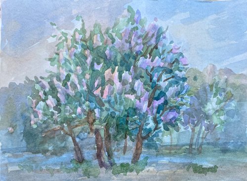 Lilac bush by Roman Sergienko