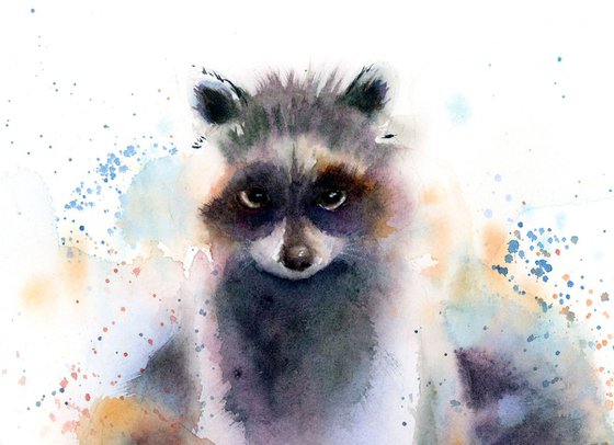 Raccoon