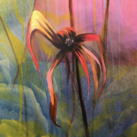 Late bloomer
