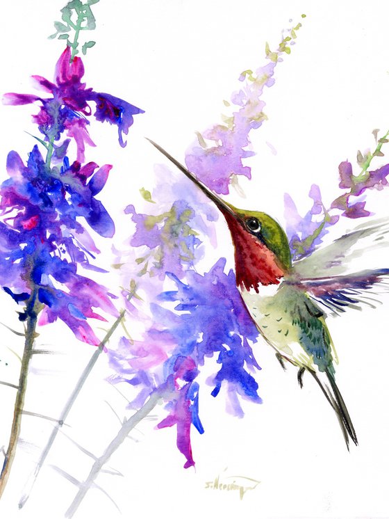 Hummingbird and FLowers