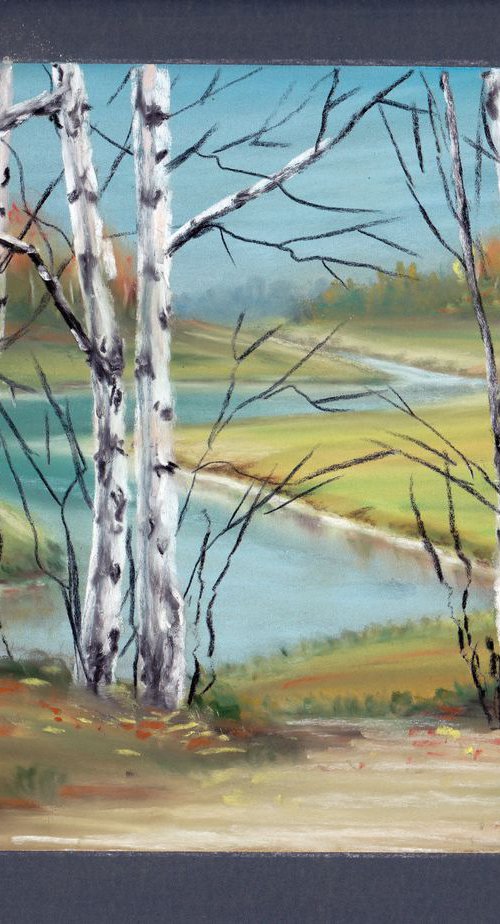 Birch Trees by Yulia Schuster