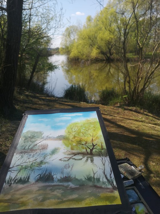 Spring Reflections