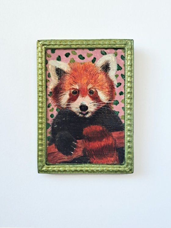 Red panda, part of framed animal miniature series "festum animalium"