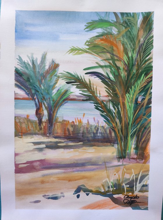 View of the lake in Siwa