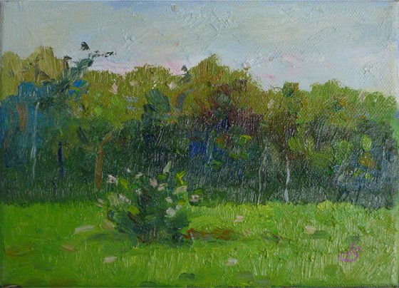 The Lawn