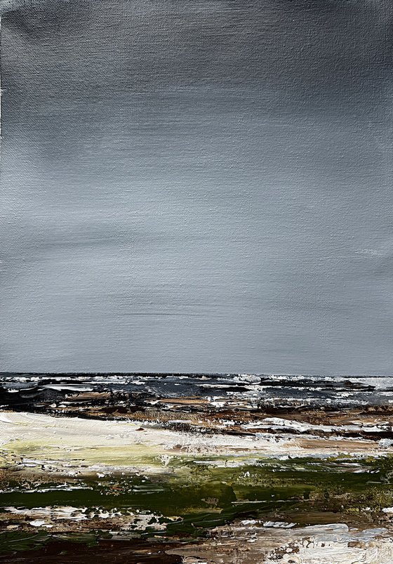 Coastal Fields in Grey Light