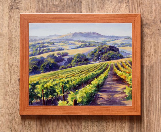 California vineyard landscape