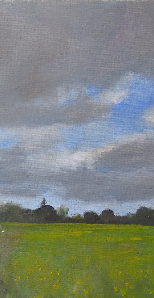 Water Meadow by Malcolm Ludvigsen