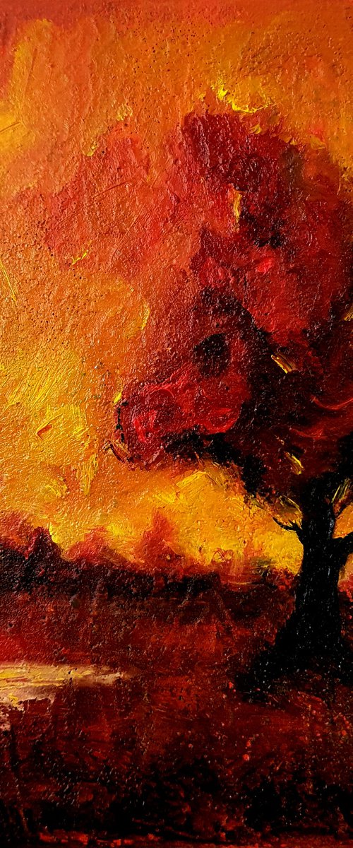 Magic Hour by Leezee Lee ( Georgiana L. Nicolae)