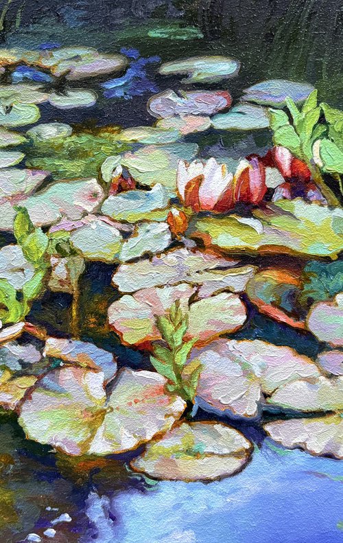 Morning pond by Andriy Vutyanov