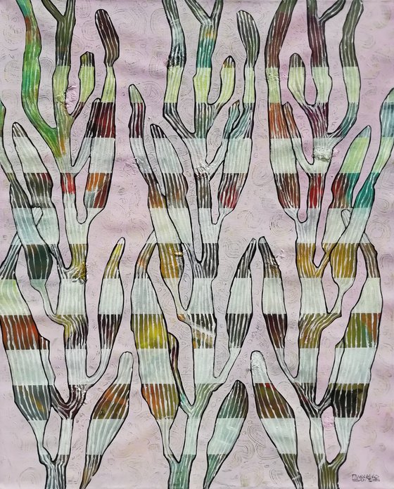 Seaweed 2