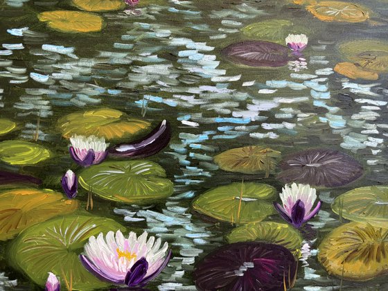 Water Lilies in the Sunlight