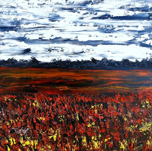 Meadow after rain by Daniel Urbaník